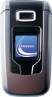 Samsung SGH-Z310